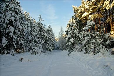 《直到黎明：重制版》PS5版文件体积曝光